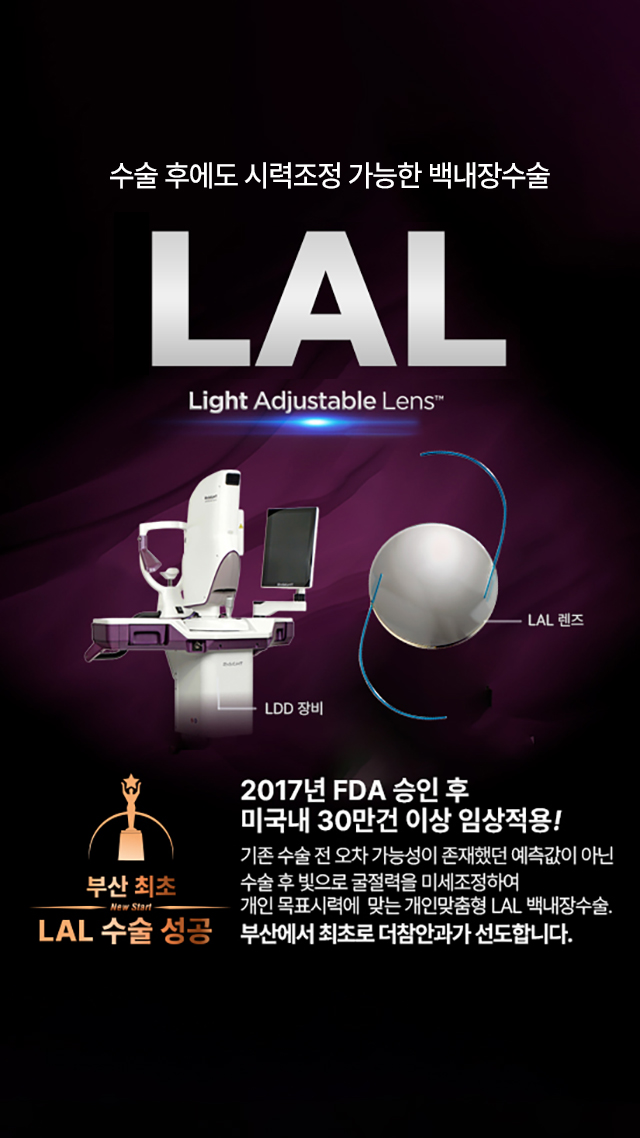 LAL백내장